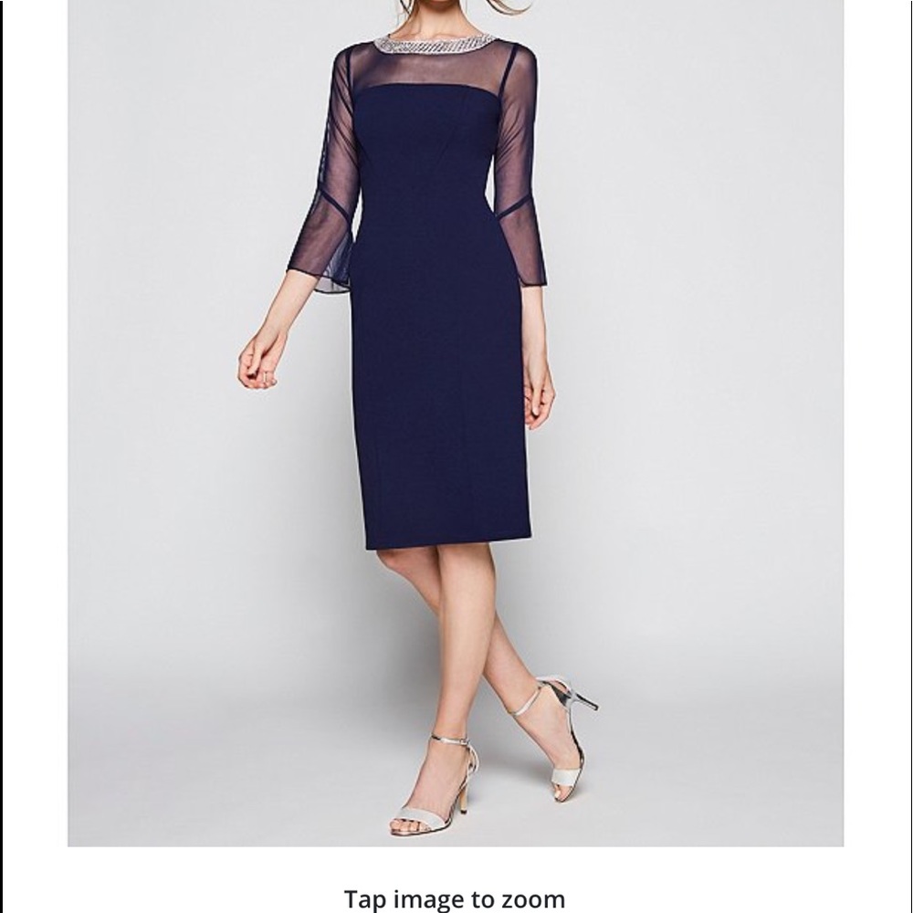 Alex Evenings illusion sheath dress Size 4